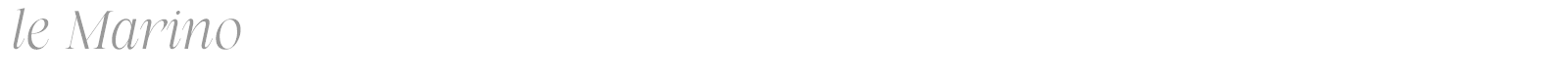 Le Marino font preview